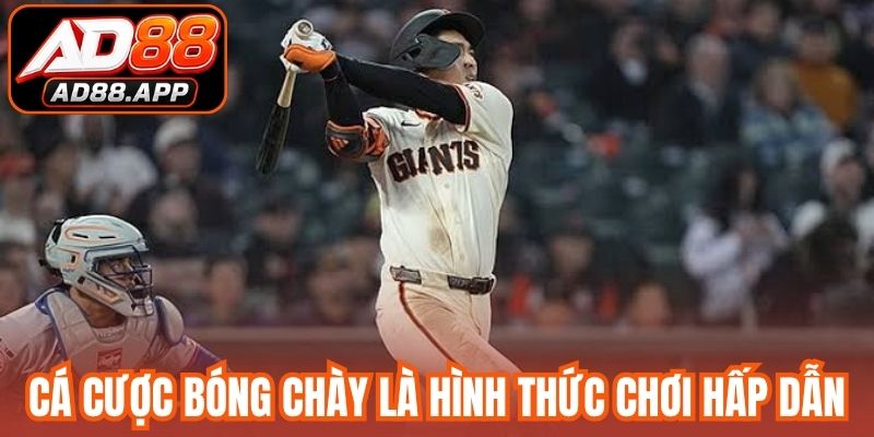 Cá cược bóng chày là hình thức chơi hấp dẫn