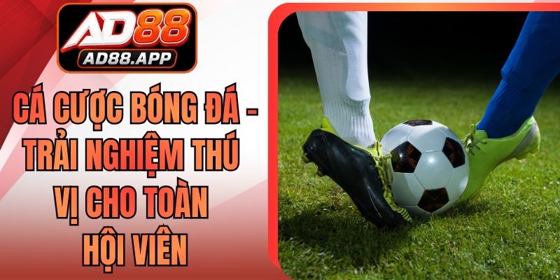 Cá Cược Bóng Đá - Trải Nghiệm Thú Vị Cho Toàn Hội Viên