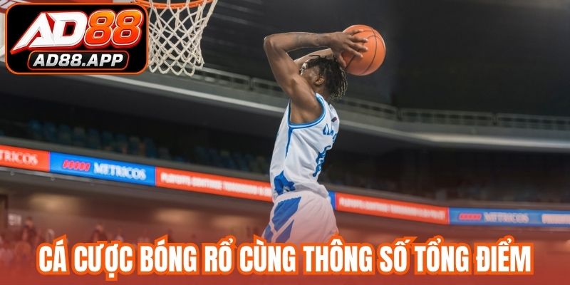 Cá cược bóng rổ cùng thông số tổng điểm