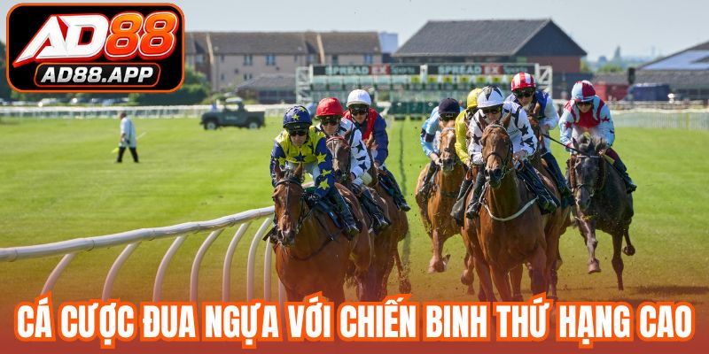 Cá cược đua ngựa với chiến binh thứ hạng cao
