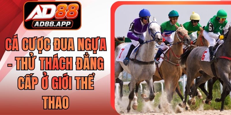 Cá Cược Đua Ngựa - Thử Thách Đẳng Cấp Ở Giới Thể Thao