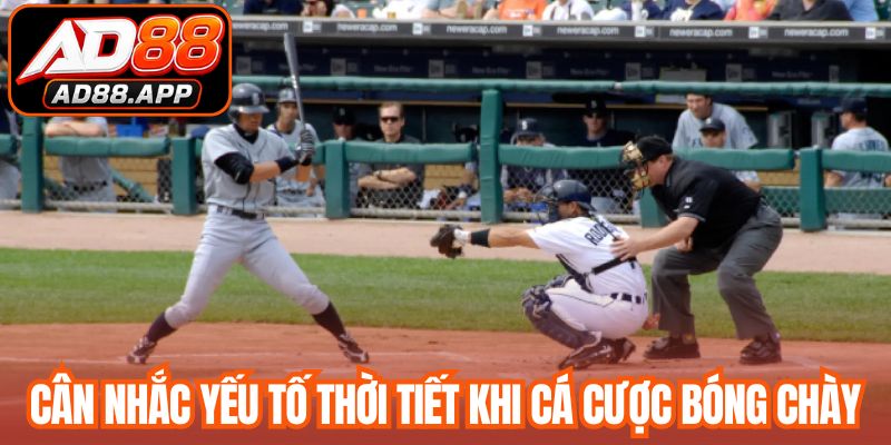 Cân nhắc yếu tố thời tiết khi cá cược bóng chày