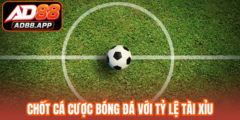 Chốt cá cược bóng đá với tỷ lệ tài xỉu