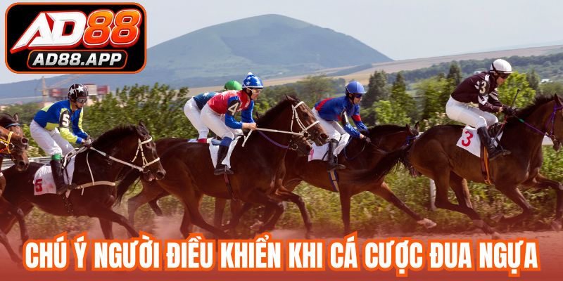 Chú ý người điều khiển khi cá cược đua ngựa