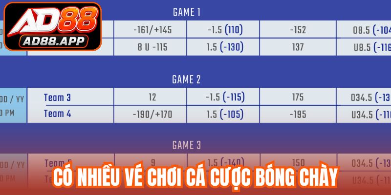 Có nhiều vé chơi cá cược bóng chày