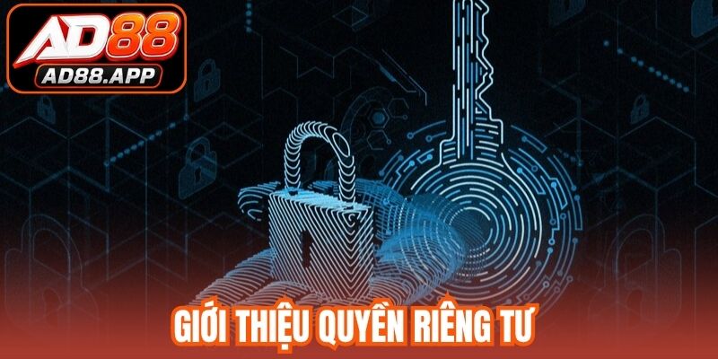 Giới thiệu quyền riêng tư