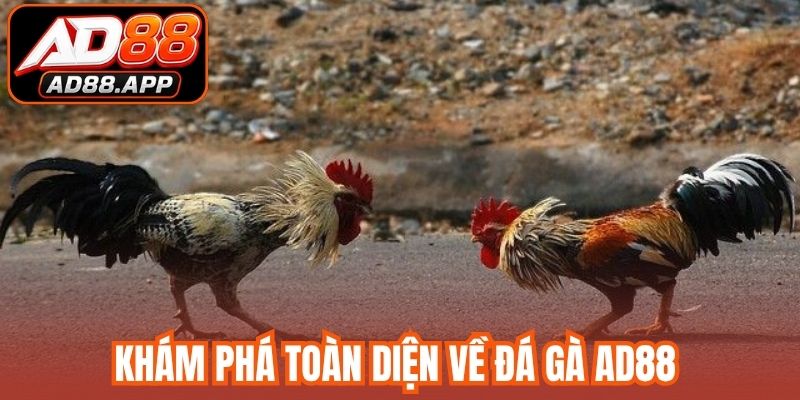 Khám phá toàn diện về đá gà AD88