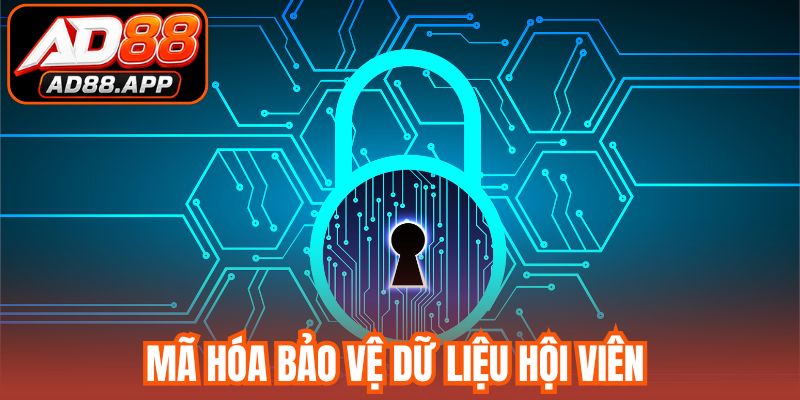 Mã hóa bảo vệ dữ liệu hội viên trong chính sách bảo mật
