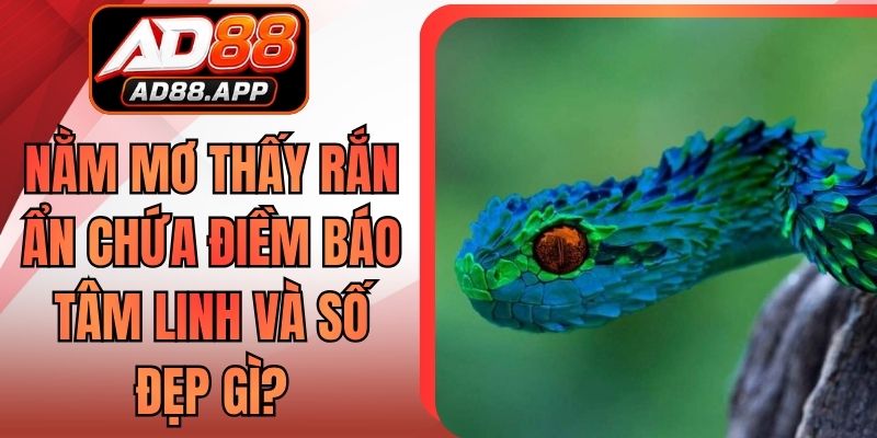 Nằm Mơ Thấy Rắn Ẩn Chứa Điềm Báo Tâm Linh Và Số Đẹp Gì?