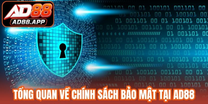 Tổng quan về chính sách bảo mật tại AD88