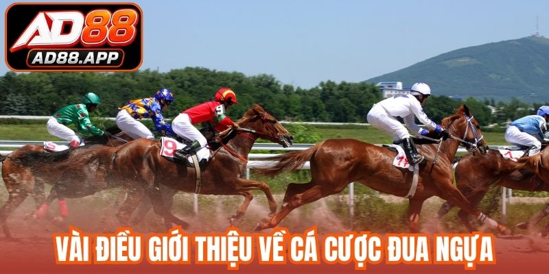 Vài điều giới thiệu về cá cược đua ngựa